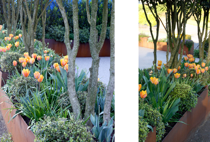 repeat planting throughout