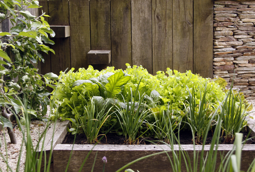 raised planters in oak create sace for salad growing in platt, kent by greencube garden design