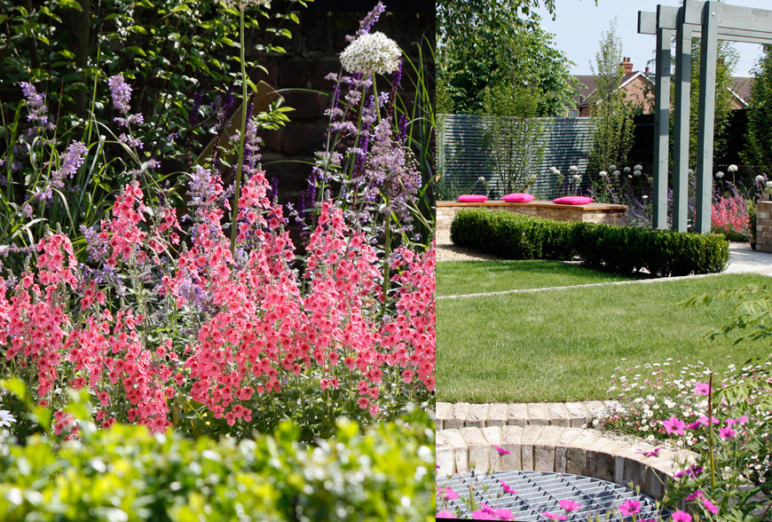 more pink themed planting adorns this tunbridge wells, kent greencube garden