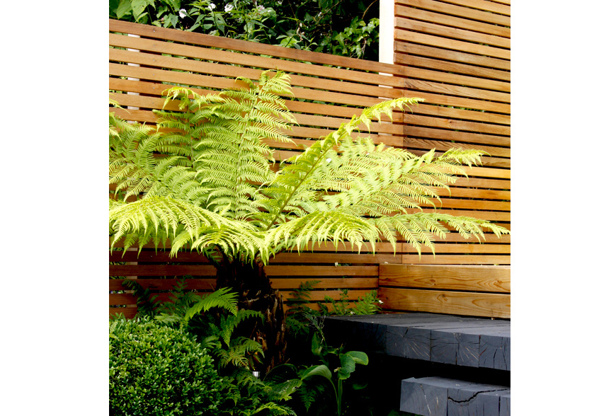 repeat of materials maximises the limited space in greencube's Sevenoaks, Kent pocket garden